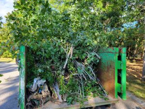A large green dumpster brimming with trimmed tree branches and leaves sits on a residential street. Sunlight filters through the surrounding trees, casting dappled shadows, epitomizing efficient junk removal that Long Island, NY residents trust.