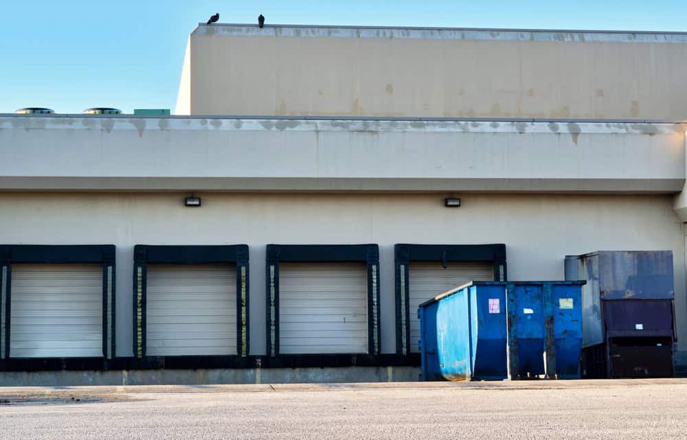 Back side of a commercial building in Long Island, NY, featuring four closed loading dock doors with black bumpers and two large dumpsters—one blue and one purple—under a clear sky with birds perched on the roof